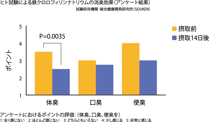 ヒト試験による鉄クロロフィリンナトリウムの消臭効果（アンケート結果）